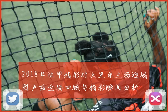 2018年法甲精彩对决里尔主场迎战图卢兹全场回顾与精彩瞬间分析