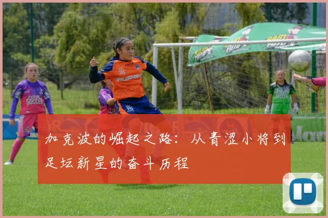 加克波的崛起之路：从青涩小将到足坛新星的奋斗历程